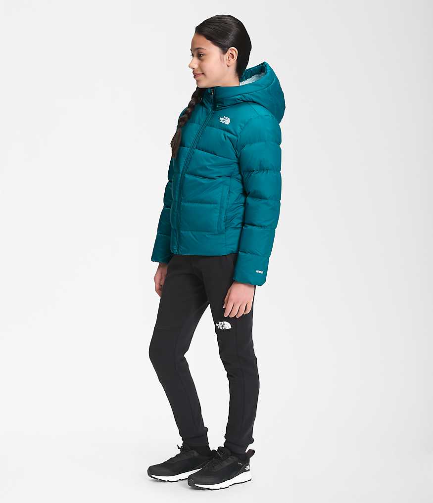 NF0A4TJ2_VFB_model34