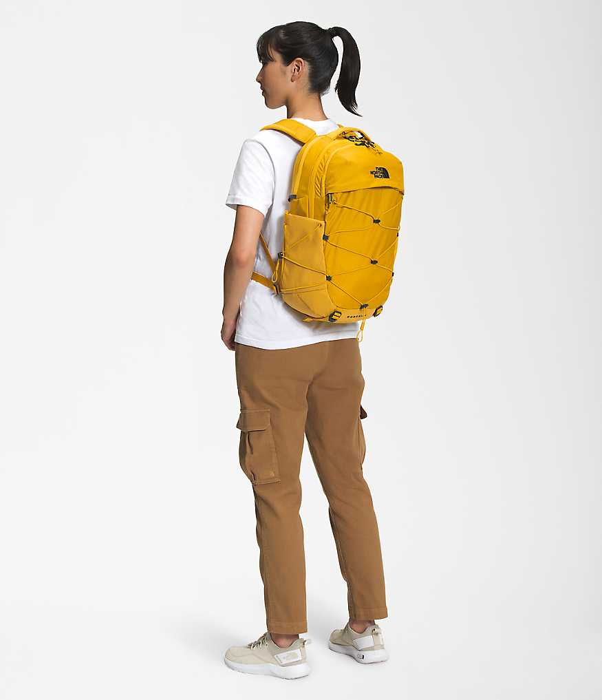 NF0A52SI_YQR_modelback