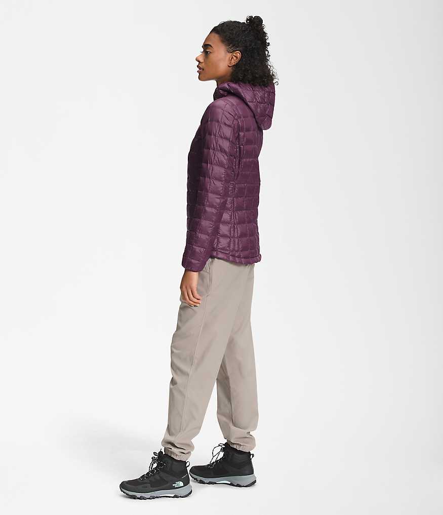 NF0A5GLC_NXE_model34